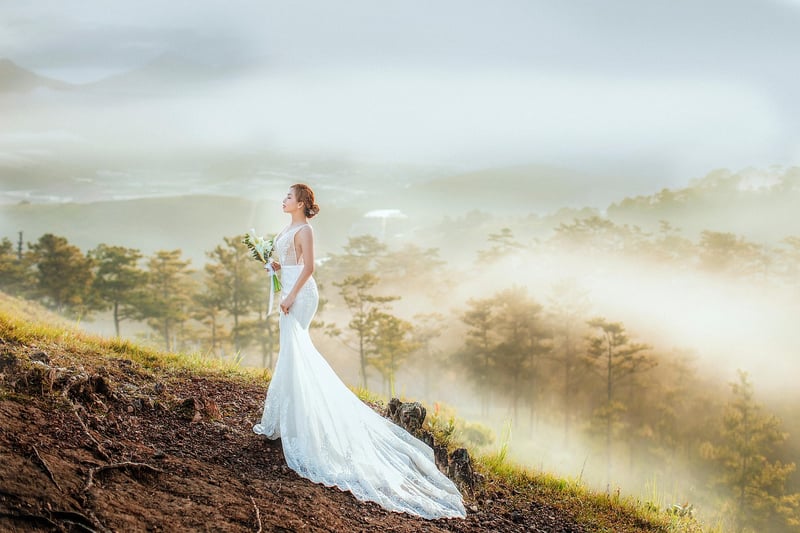 Sunlit Glade Wedding Location